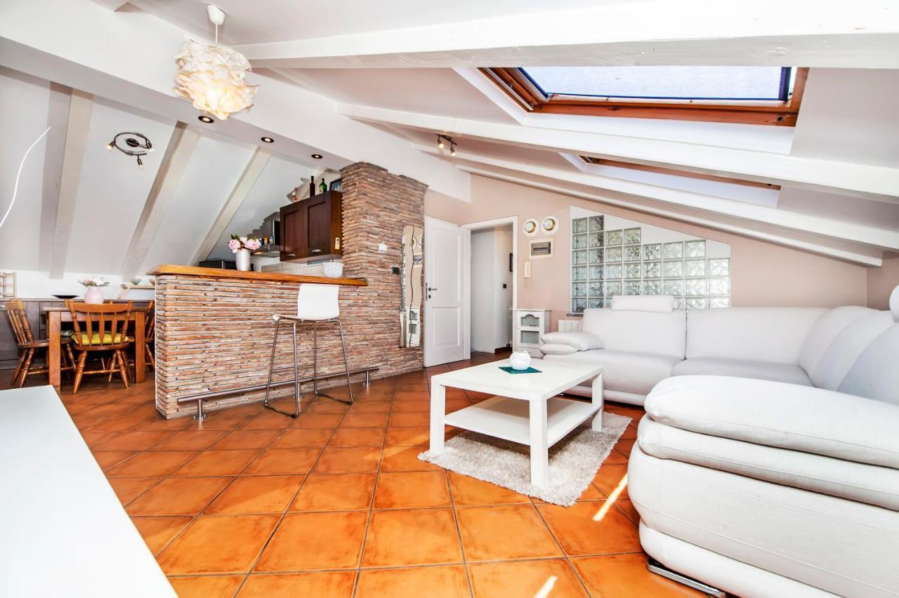 Camelia Rovinj